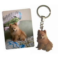 Виріб Адресники для тварин Кулон по фотографії вихованця